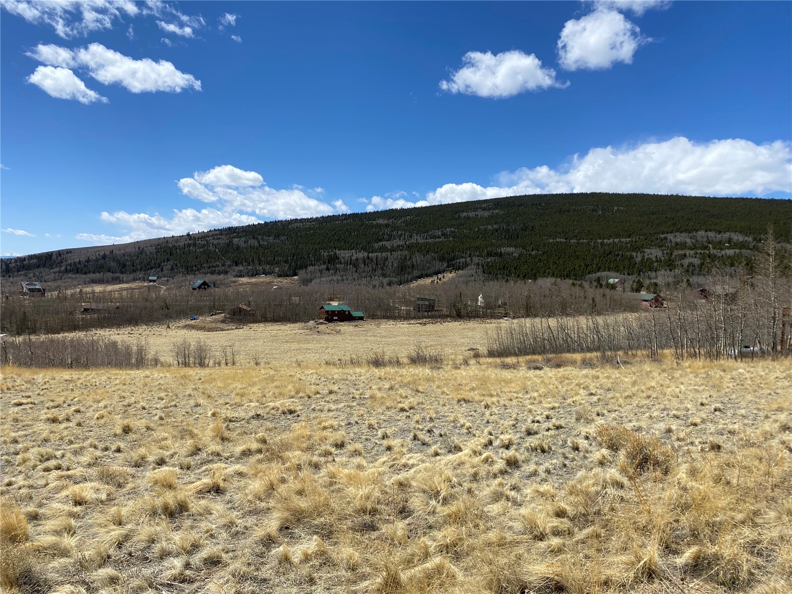 290 Sheep Ridge Road Fairplay, CO 80440 - Photo 18 of 40 Gallery Image 18