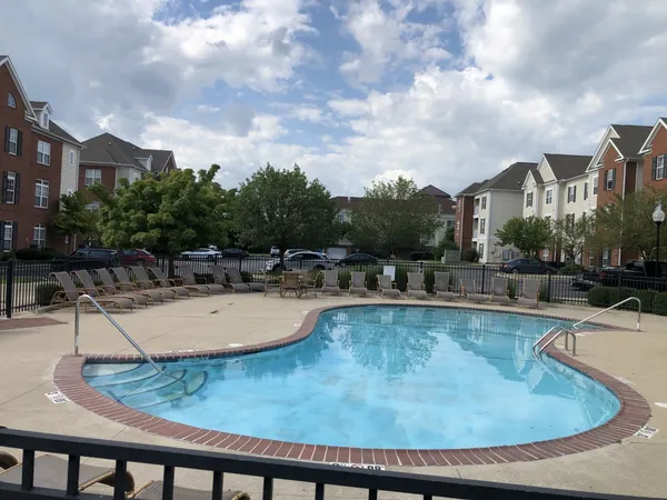 a view of a swimming pool with outdoor seating and plants