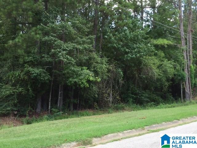 3505 Spring Valley Road Anniston, AL 36207 - Photo 31 of 45
