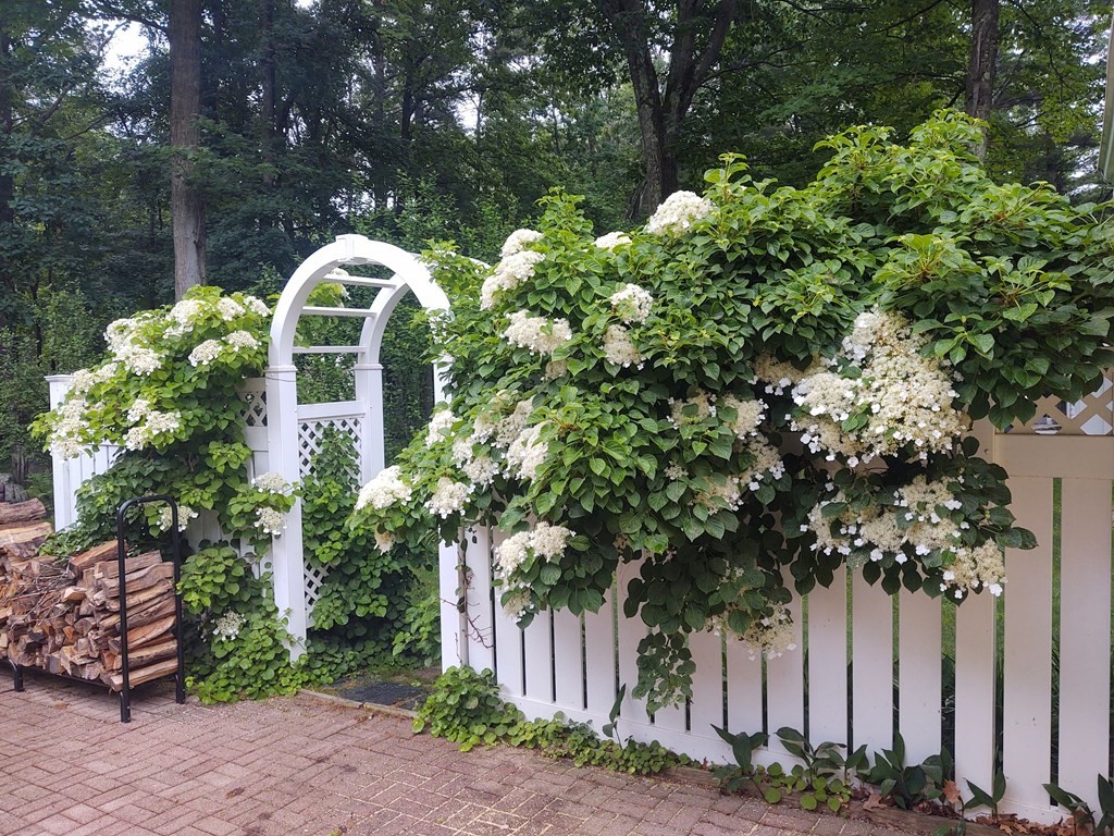 55 Lovejoy Road Andover, MA 01810 - Photo 27 of 35 Gallery Image 27