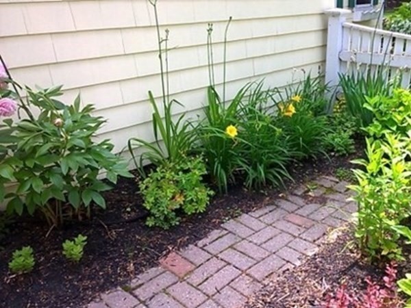 55 Lovejoy Road Andover, MA 01810 - Photo 30 of 35 Gallery Image 30