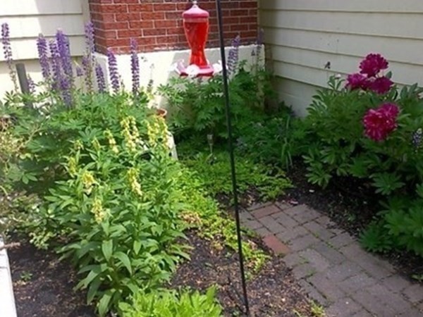 55 Lovejoy Road Andover, MA 01810 - Photo 31 of 35 Gallery Image 31