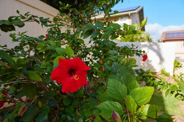 $4,850 | 32 East Makahehi Loop, Kahului, HI 96732