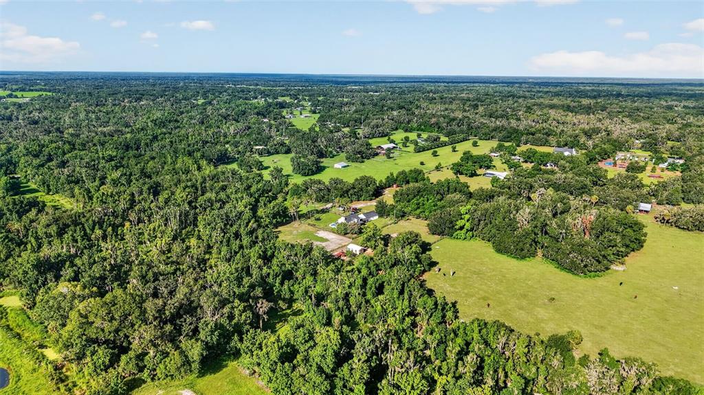 8922 Pritcher Road Lithia, FL 33547 - Photo 58 of 73