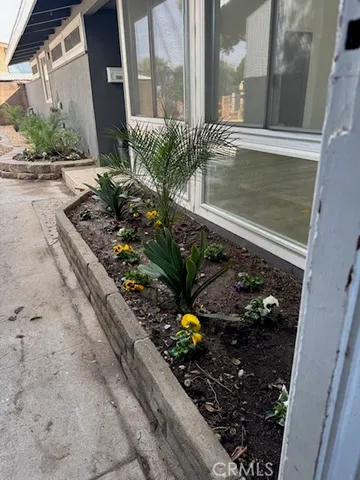a potted plant sitting in front of a house