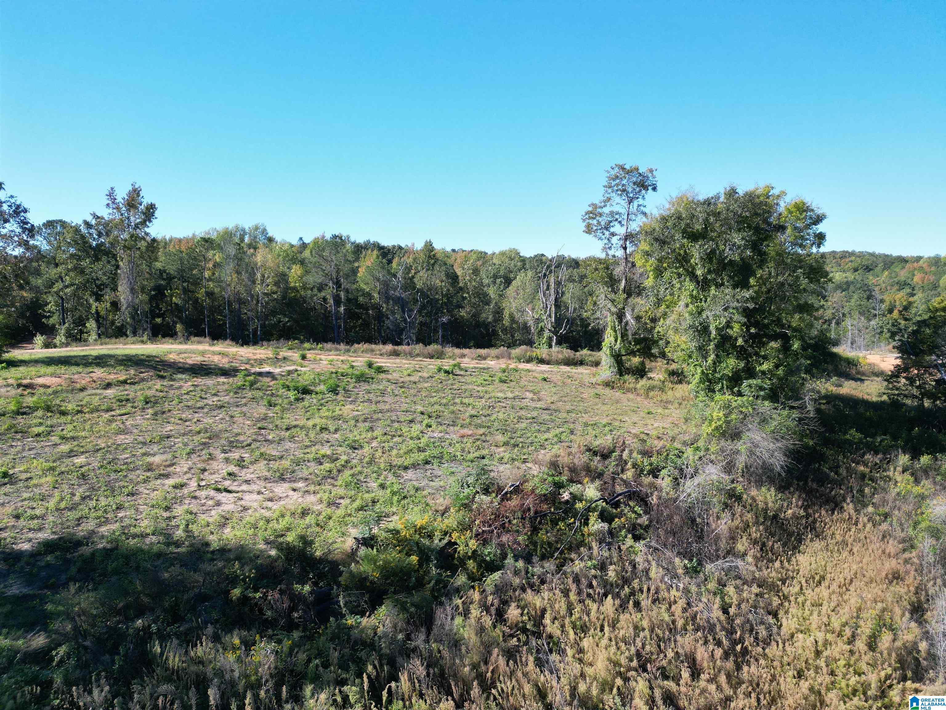 0 Payne Lk Road, Unit 1 Brent, AL 35034 - Photo 9 of 9
