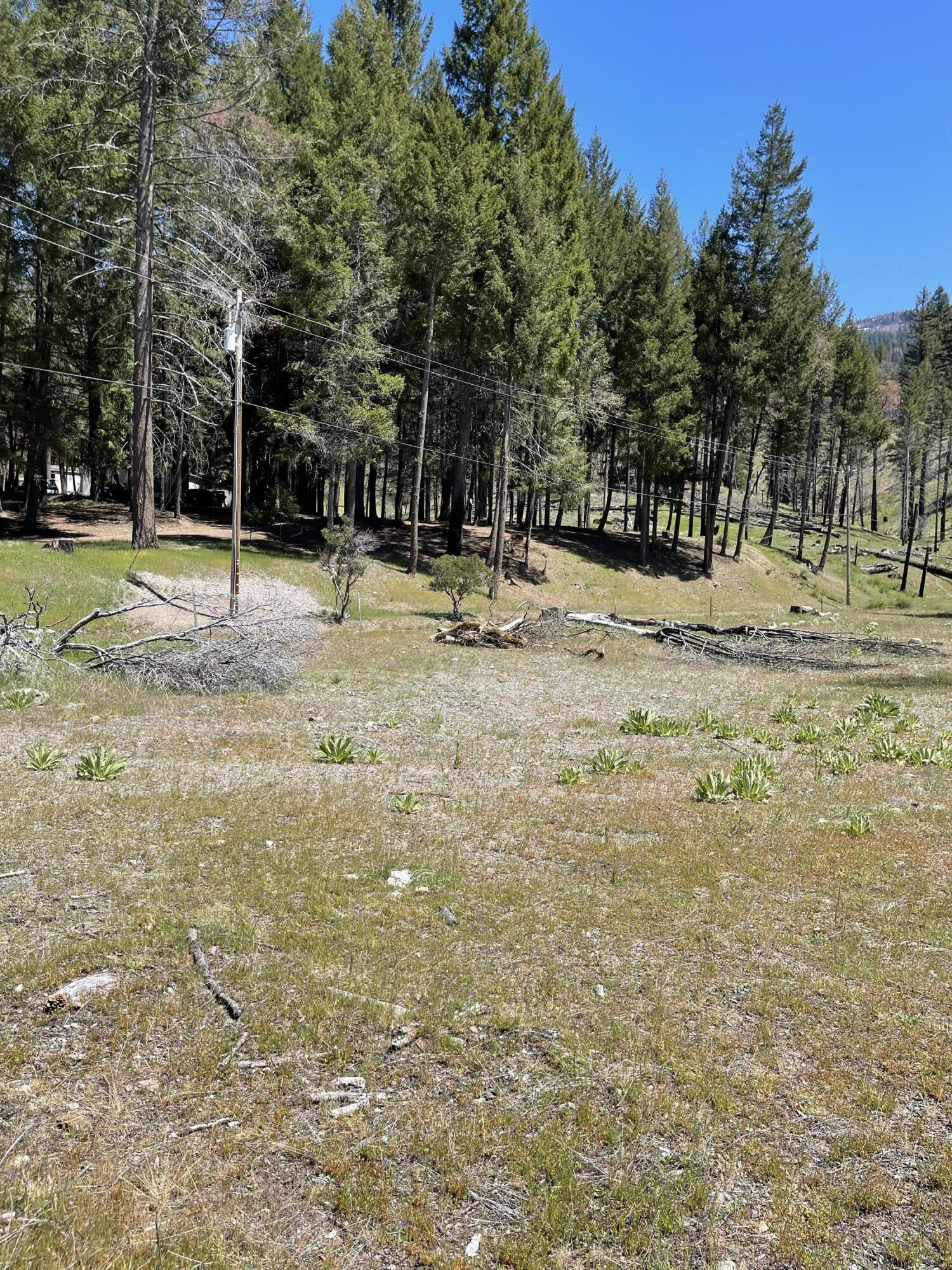 300 Cedar Gap Road Mad River, CA 95552 - Photo 9 of 11
