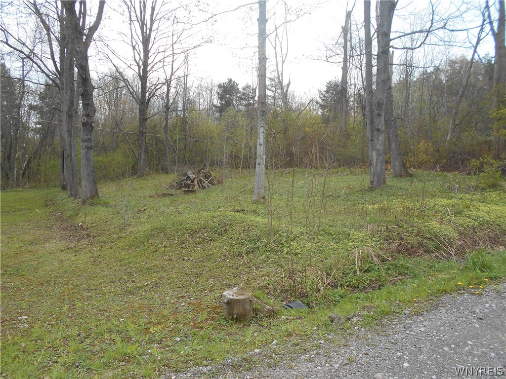 21 South Parkway Drive, Unit A Java, NY 14009 - Photo 38 of 42