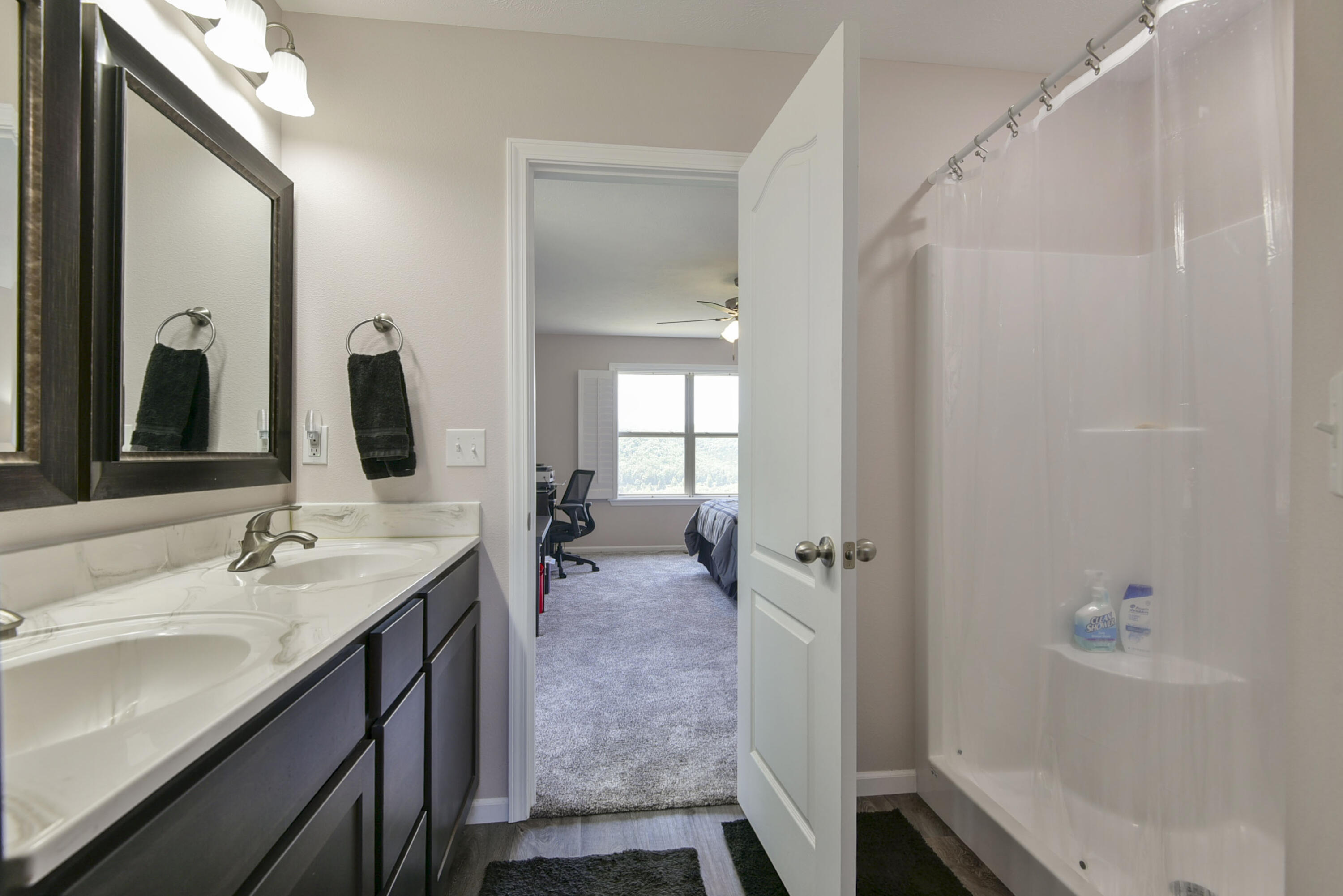 880 Black Forest Lane Reeds Spring, MO 65737 - Photo 21 of 58 Primary Bath 2