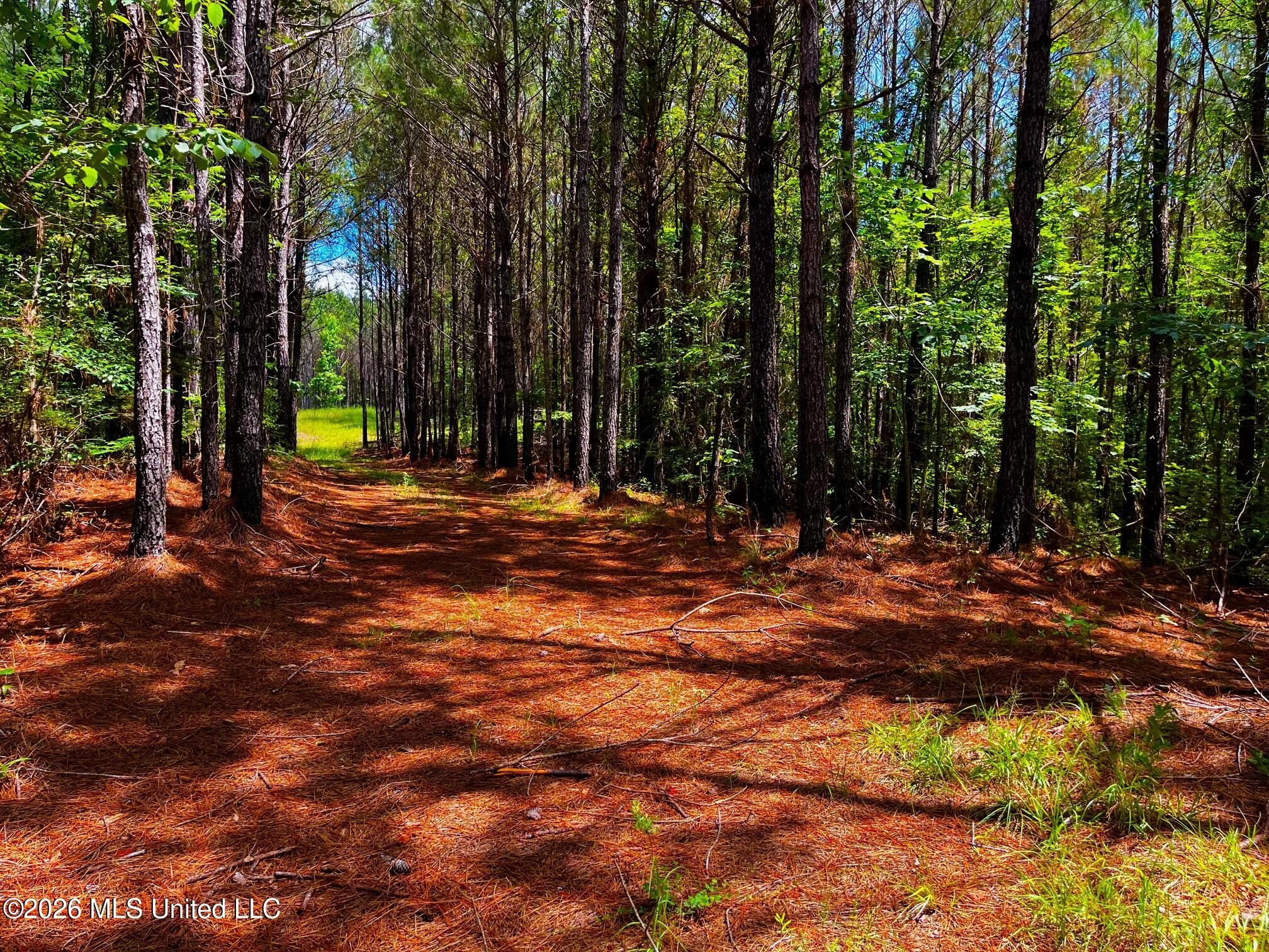 Arthur Drive Brookhaven, MS 39601 - Photo 20 of 20 ar20