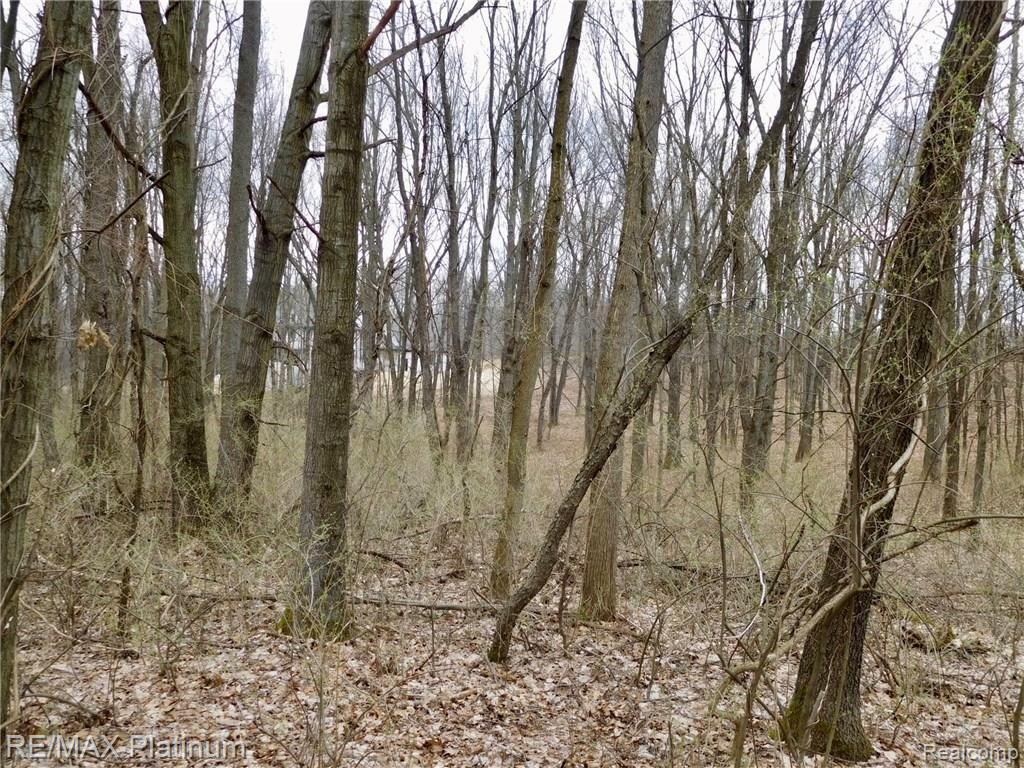 0 West Buno Road Milford, MI 48381 - Photo 21 of 28