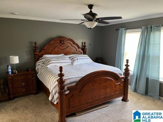 8134 Clairmont Springs Road Lineville, AL 36266 - Photo 30 of 36
