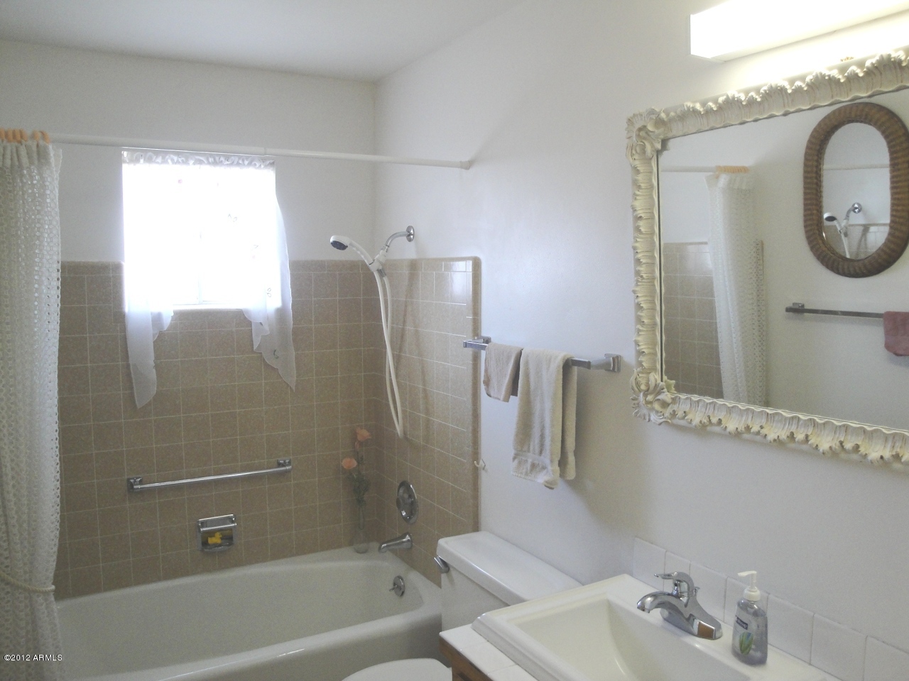 5301 East Adobe Road Mesa, AZ 85205 - Photo 4 of 5 Main Bath