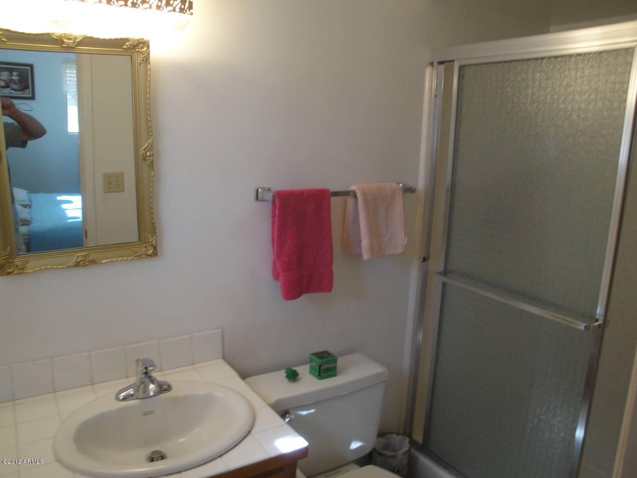5301 East Adobe Road Mesa, AZ 85205 - Photo 5 of 5 Master Bath