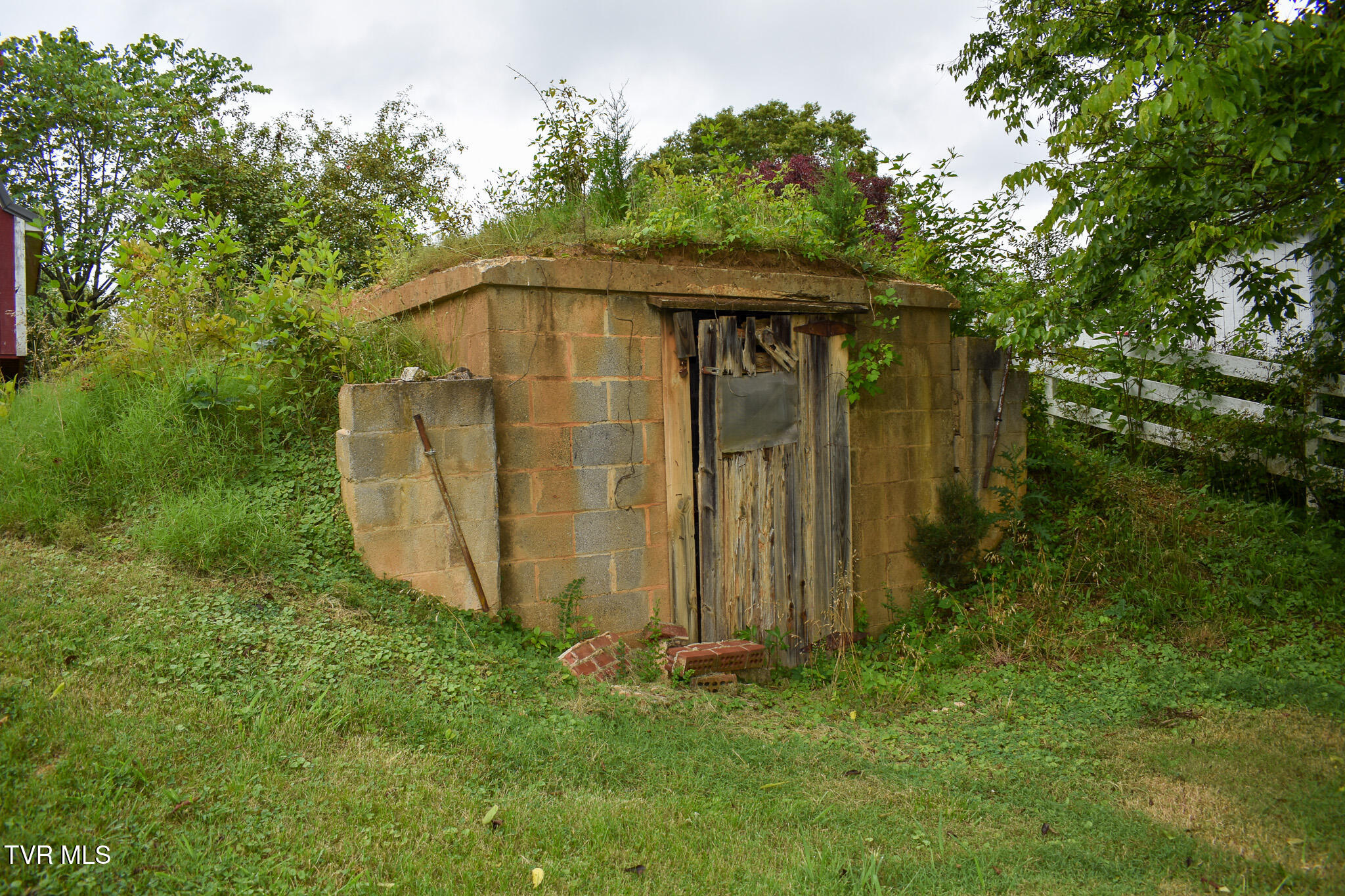 1085 Old Stage Road Rogersville, TN 37857 - Photo 29 of 65 DSC_0322
