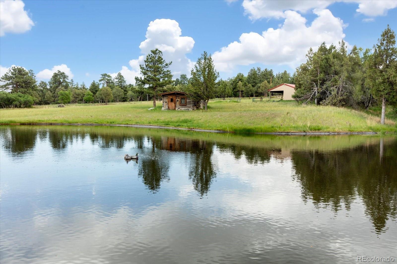 3285 County Road 47 Howard, CO 81233 - Photo 4 of 46