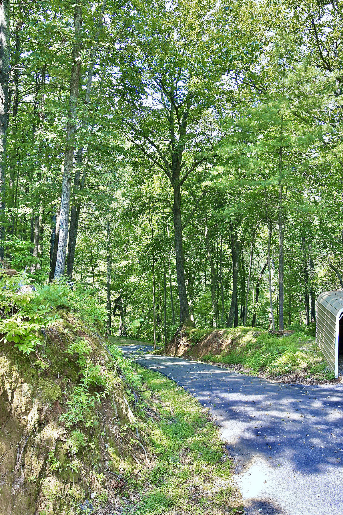 6809 Hofawger Road Boones Mill, VA 24065 - Photo 43 of 48 _V4B3476.jpeg