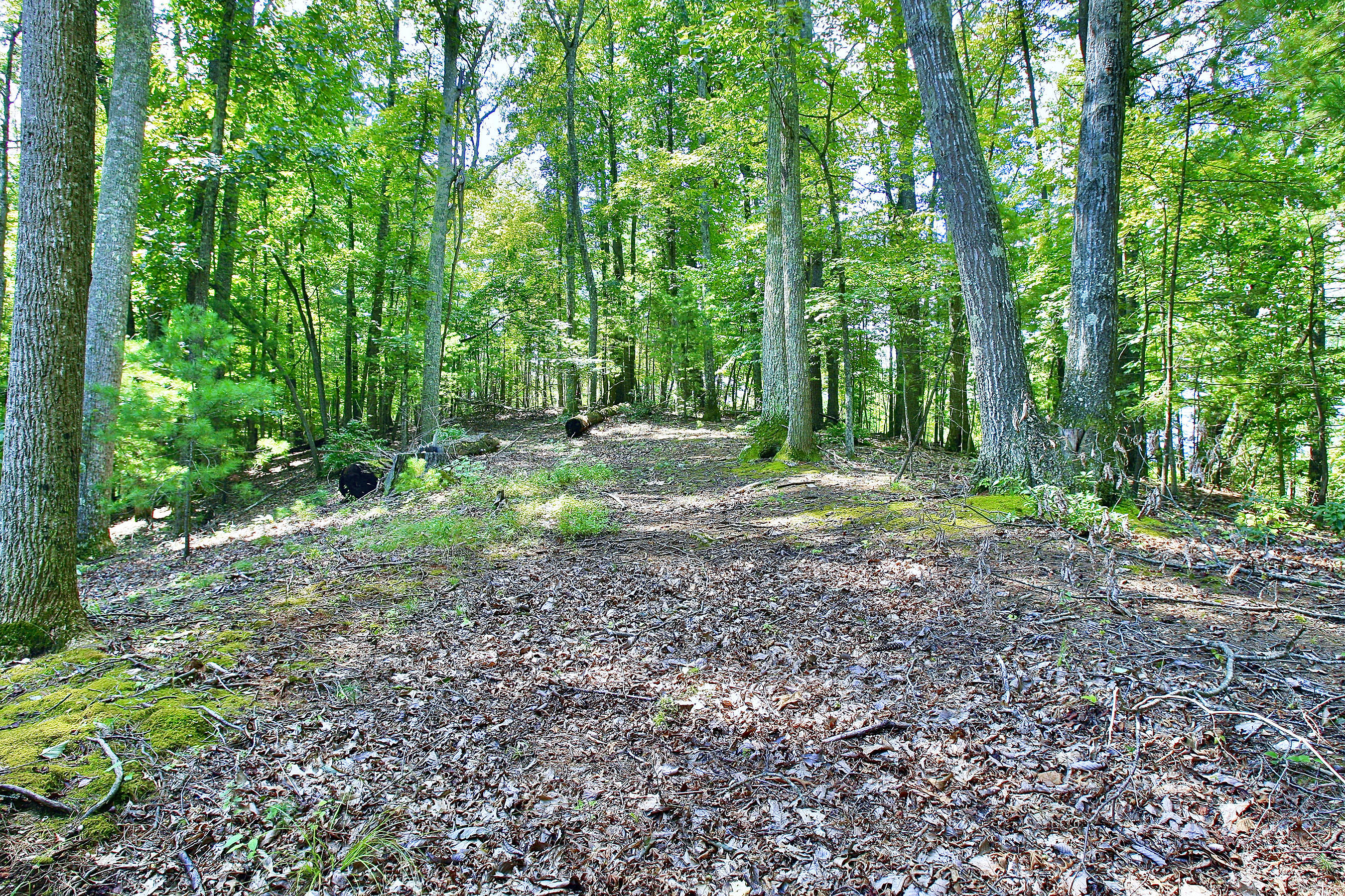 6809 Hofawger Road Boones Mill, VA 24065 - Photo 45 of 48 _V4B3478.jpeg
