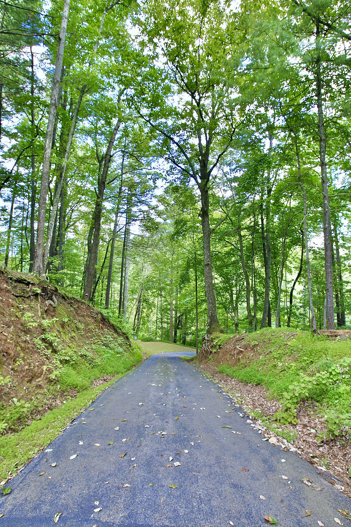 6809 Hofawger Road Boones Mill, VA 24065 - Photo 48 of 48 _V4B3503.jpeg