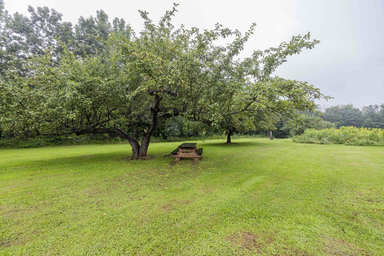369 Rowe Hill Road Greenwood, ME 04255 - Photo 43 of 62 3G0A9821