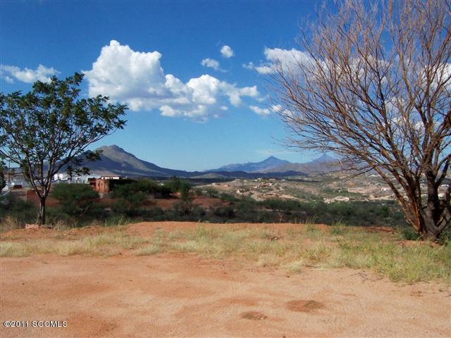 914 Bowi Lane Rio Rico, AZ 85648 - Photo 9 of 10