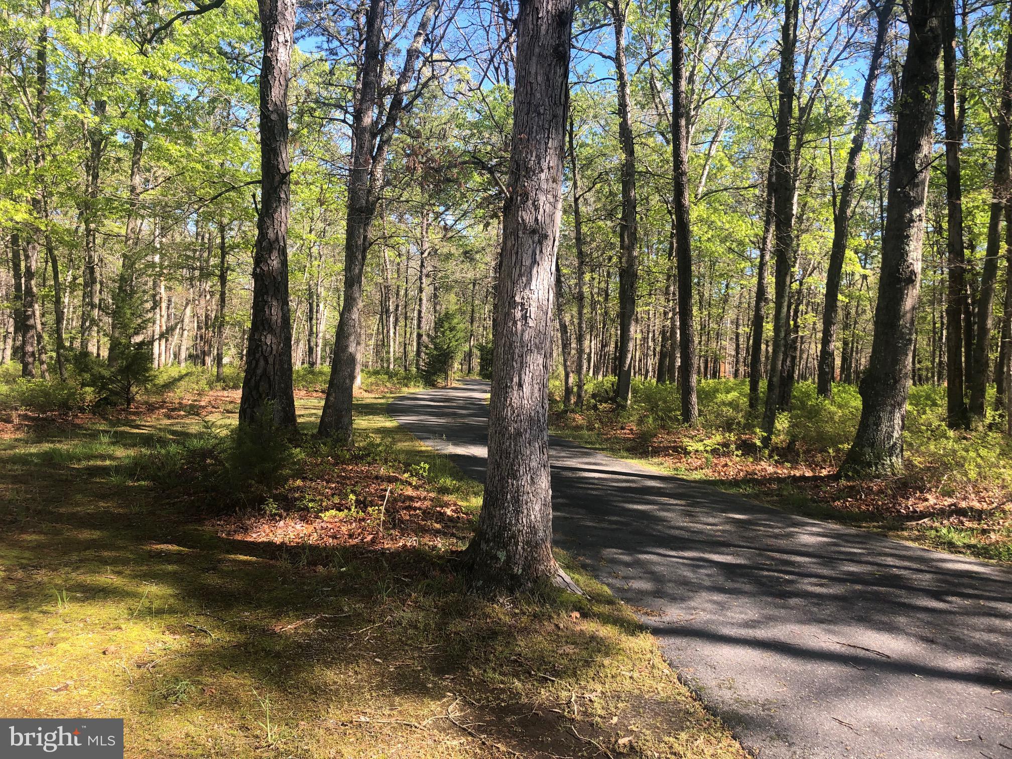458 Weymouth Road Buena, NJ 08310 - Photo 2 of 12 a view of yard