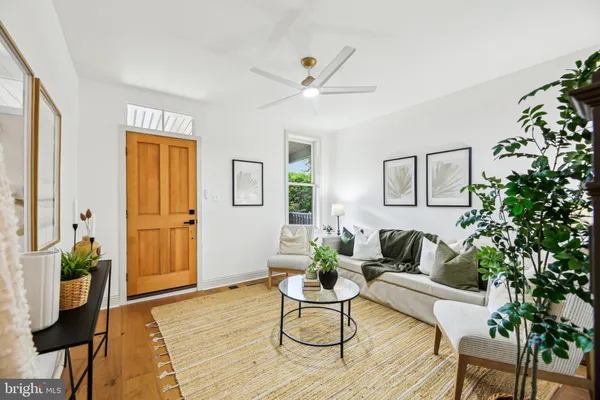 a living room with furniture and a potted plant