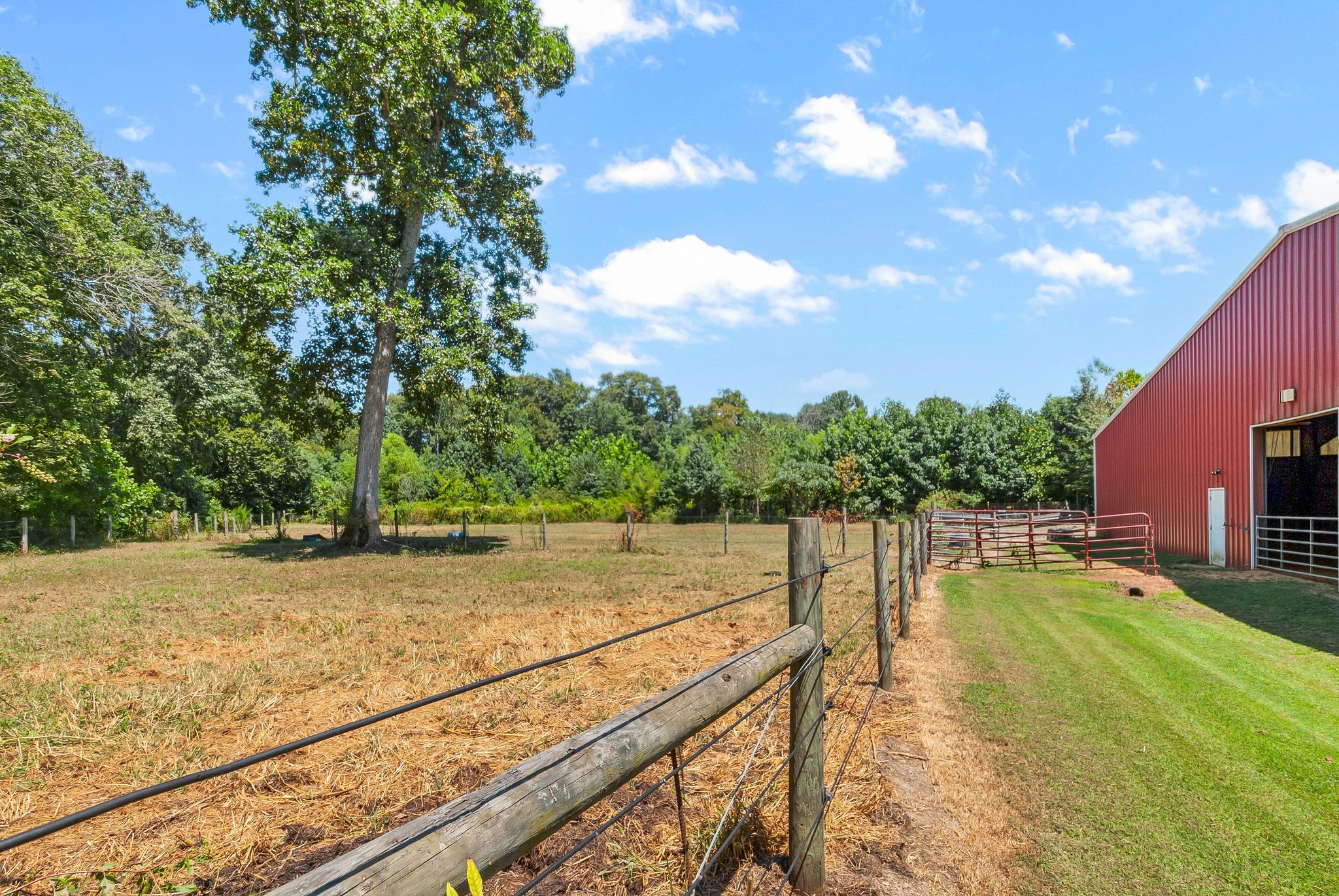 54 Shelton Road Fayetteville, TN 37334 - Photo 4 of 65 a view of an outdoor space and swimming pool