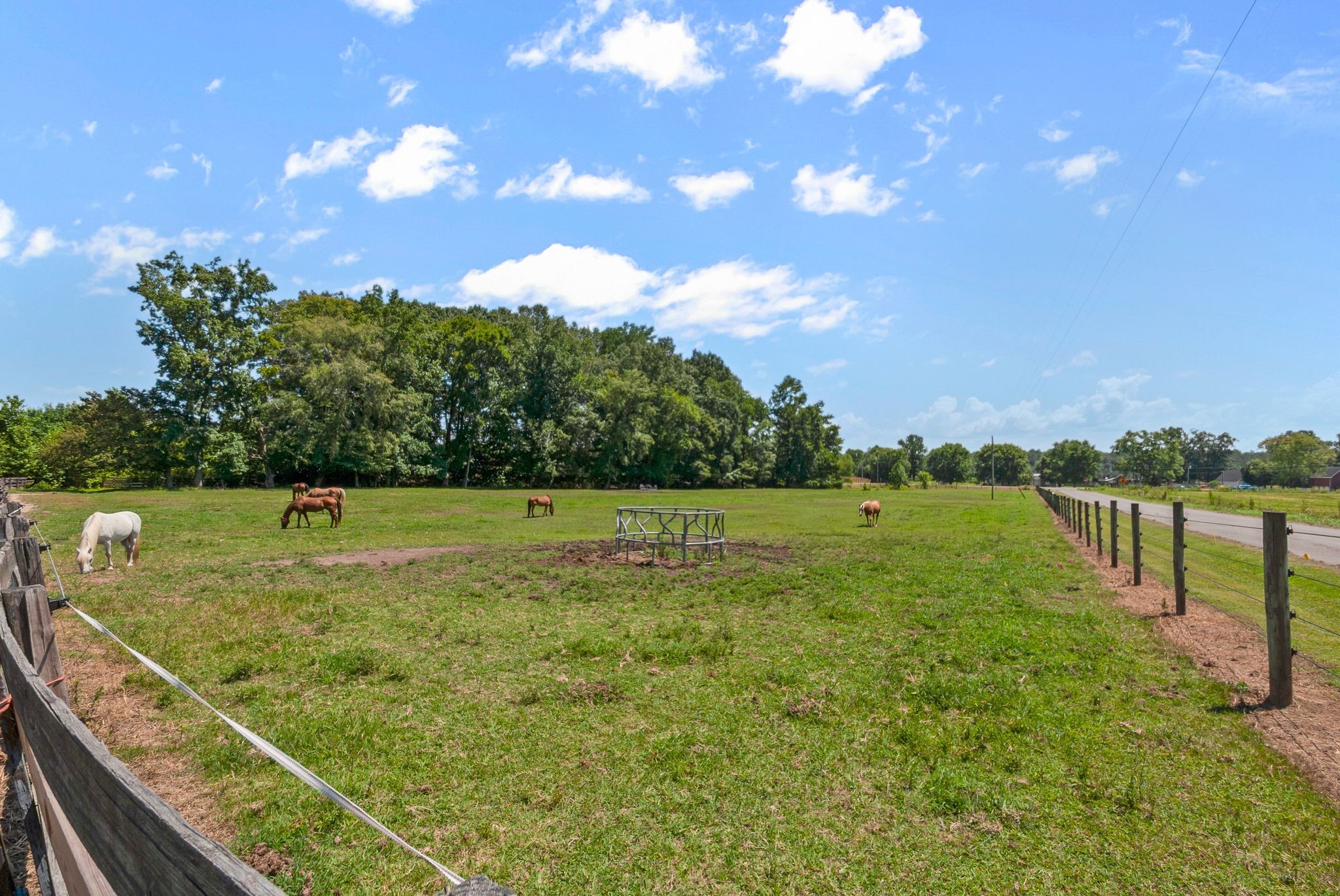 54 Shelton Road Fayetteville, TN 37334 - Photo 5 of 65