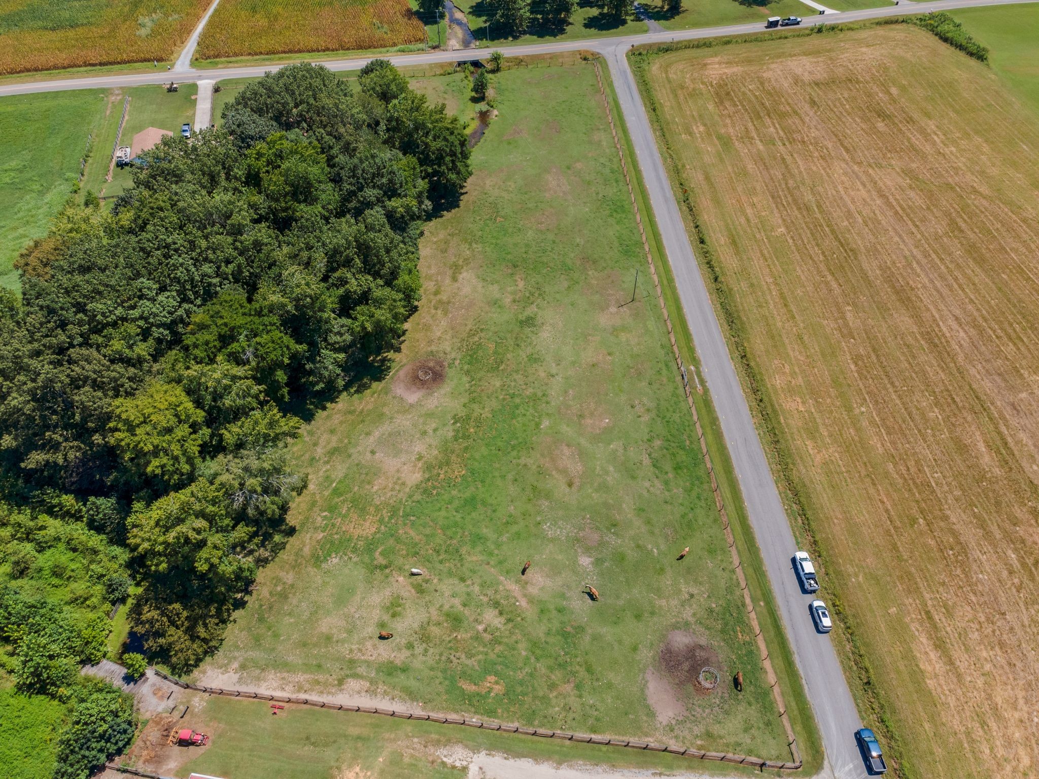 54 Shelton Road Fayetteville, TN 37334 - Photo 59 of 65 a view of swimming pool