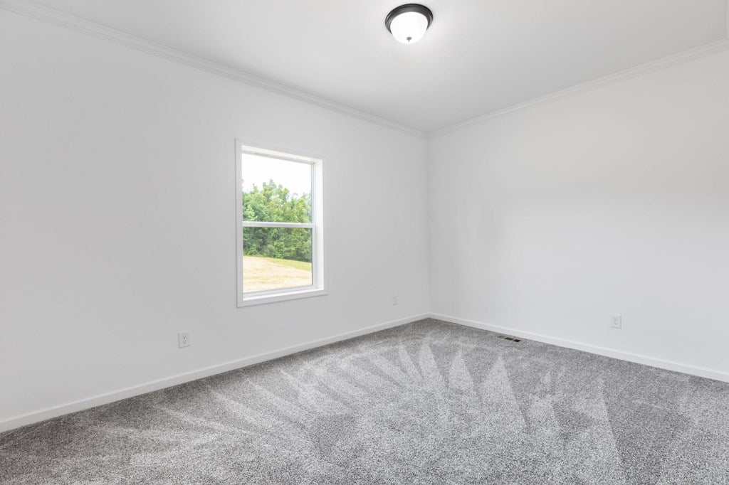 915 Levi Road Green Bay, VA 23942 - Photo 19 of 45 Gallery Image 19