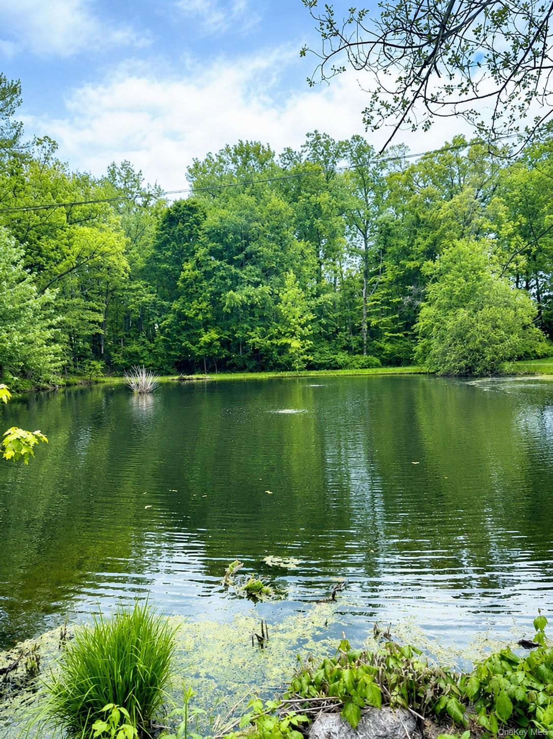 82 Shingle House Road Millwood, NY 10546 - Photo 2 of 6 Private pond surrounded by mature deciduous trees, for perfect front views and privacy