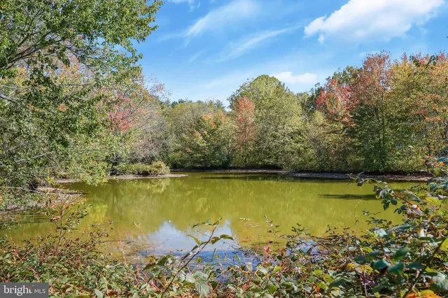 a view of a street with a yard