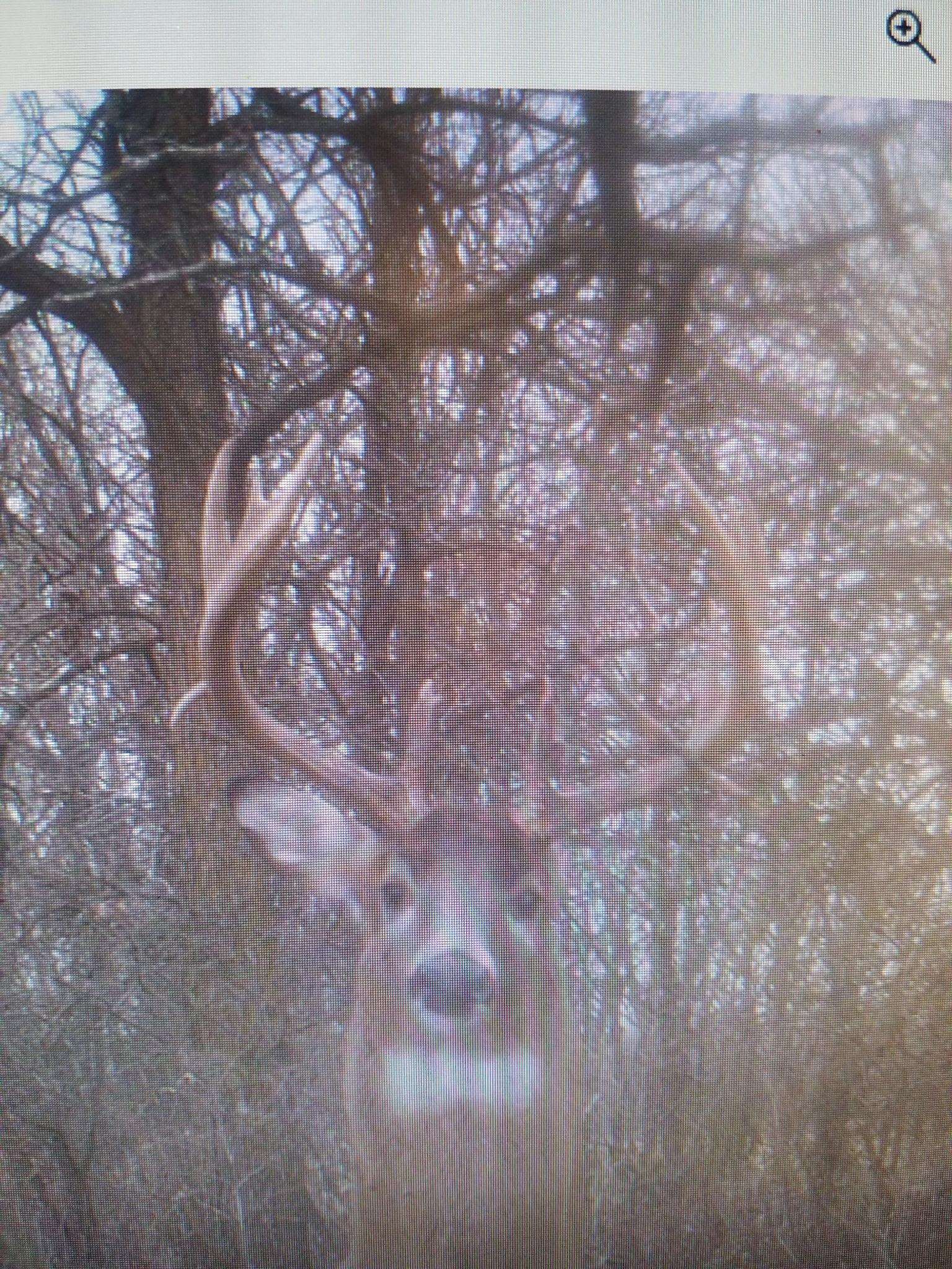 W6068 Neitzel Road Waupun, WI 53963 - Photo 25 of 65 Gallery Image 25