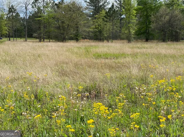 a view of backyard with green space