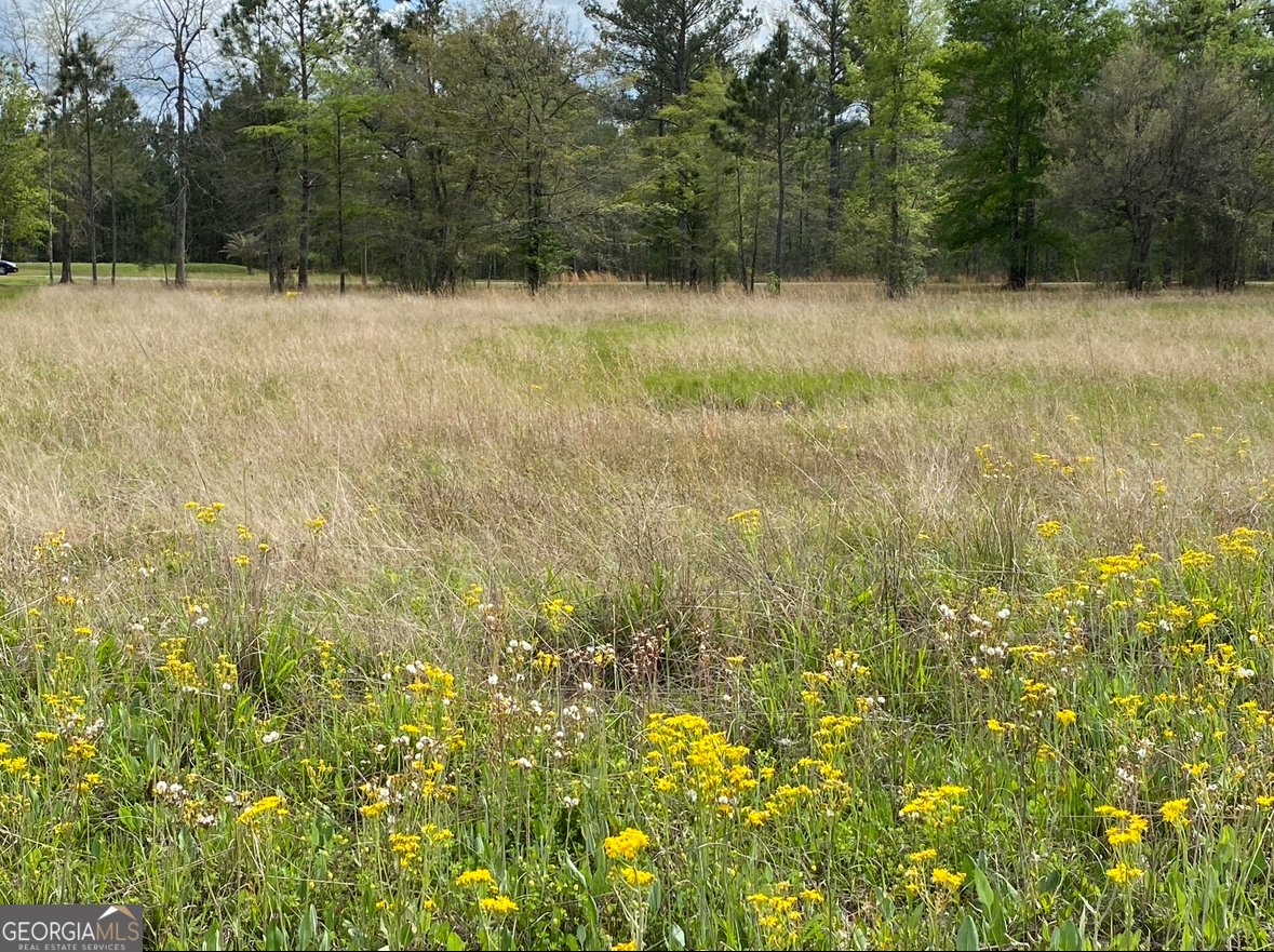 0 Main Trail Midway, GA 31320 - Photo 1 of 1 a view of backyard with green space