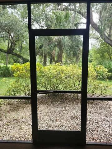 a view of a garden from a window