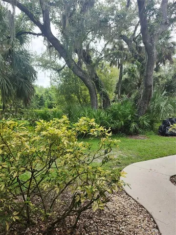 a view of a backyard