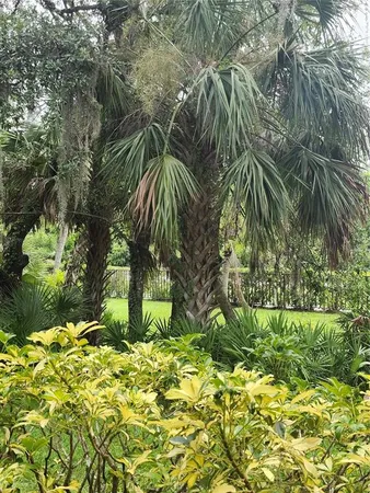 a picture of plants