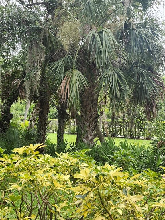1515 Forrest Nelson Boulevard, Unit J104 Port Charlotte, FL 33952 - Photo 22 of 27 a picture of plants