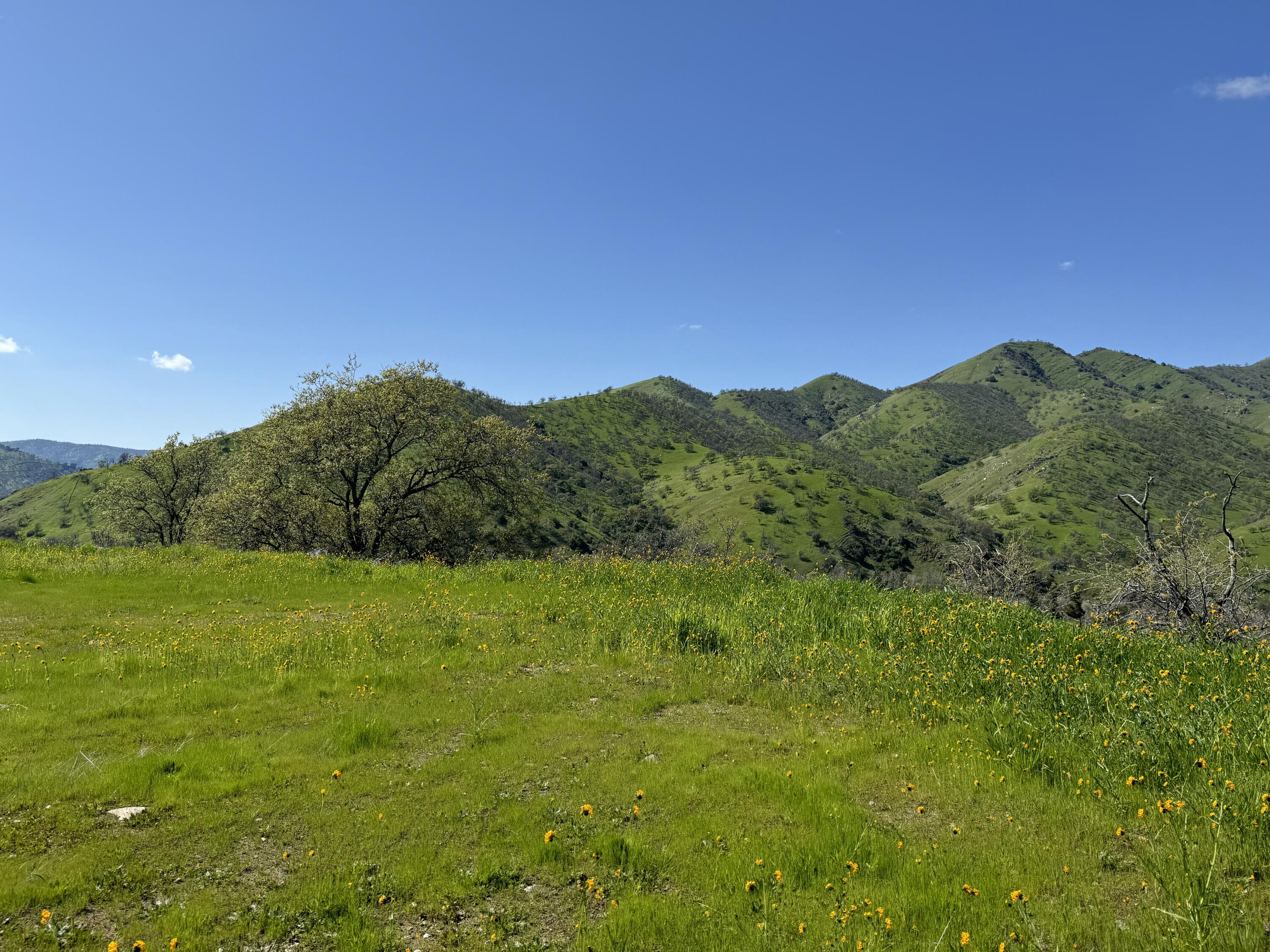 41333 Sierra Drive Three Rivers, CA 93271 - Photo 13 of 42 IMG_0481 2