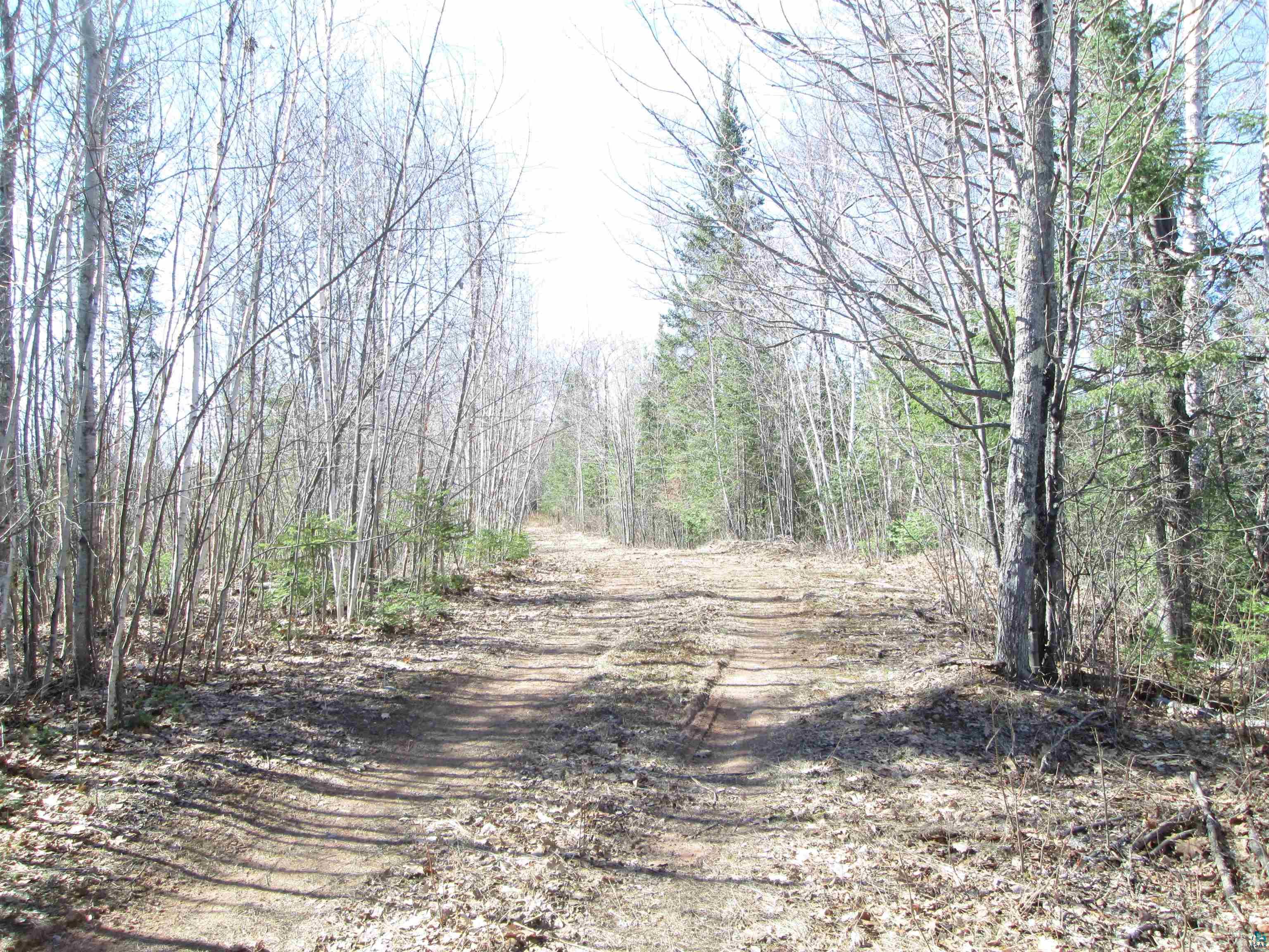 Lot 2-40 Acres County Road South Range, WI 54874 - Photo 14 of 39 Gallery Image 14