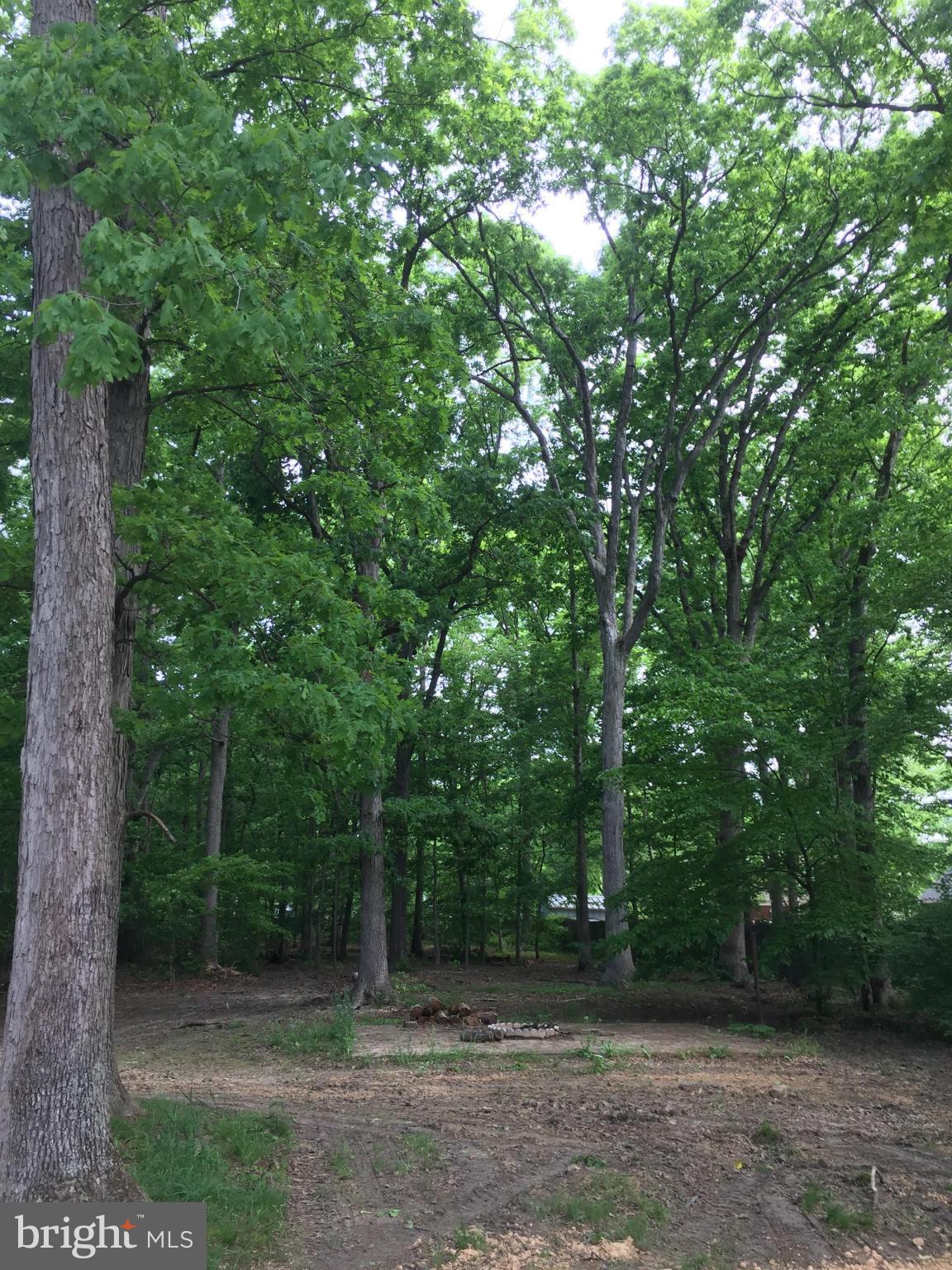 205 Biddle Road Accokeek, MD 20607 - Photo 21 of 24 a view of a field with trees in front of it