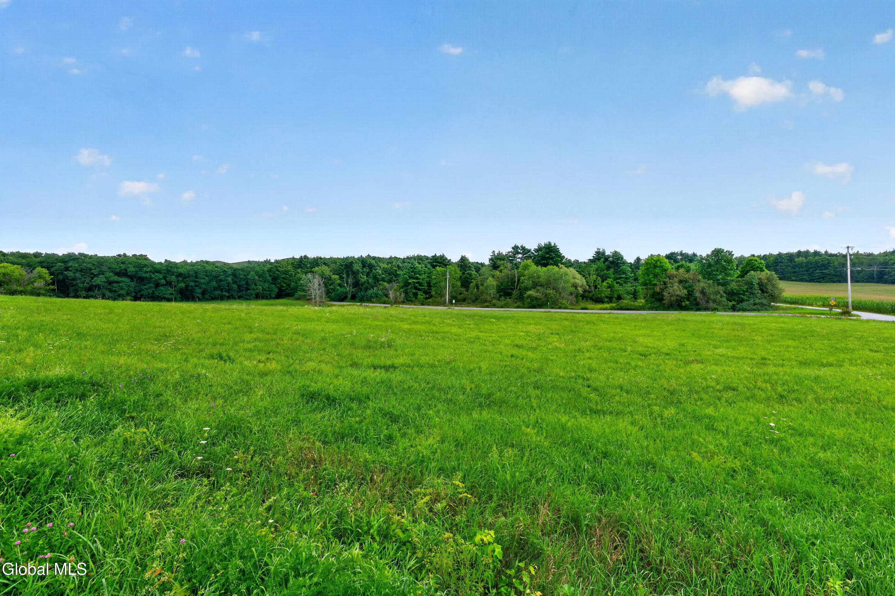 97 Newman Road Salem, NY 12873 - Photo 55 of 61 Yard 8