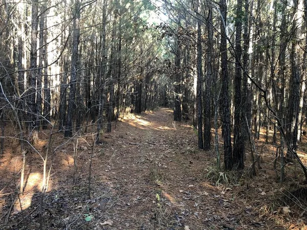 a view of a yard with trees in the background
