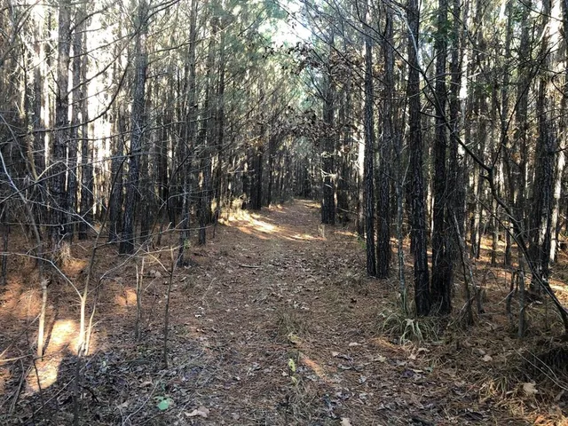 a view of a yard with trees in the background