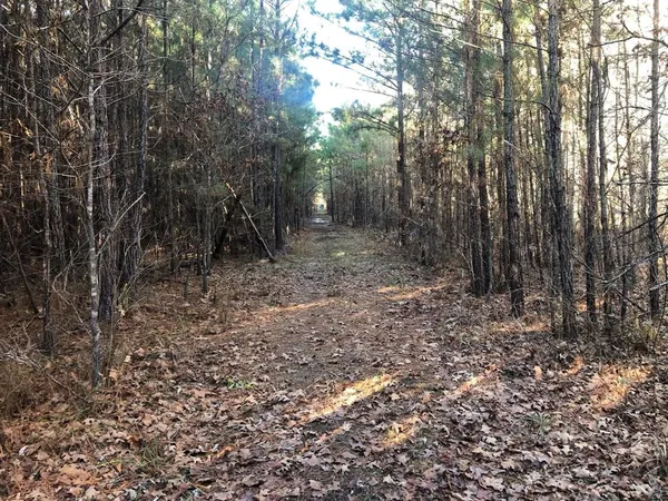 a view of backyard with green space
