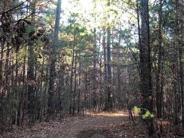 a backyard of a house with lots of plants and seating