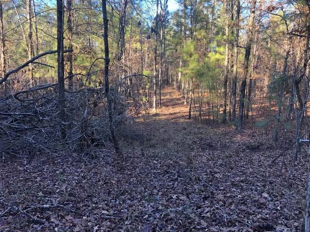 a view of outdoor space with deck and tree