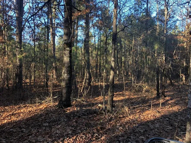 a backyard of a building